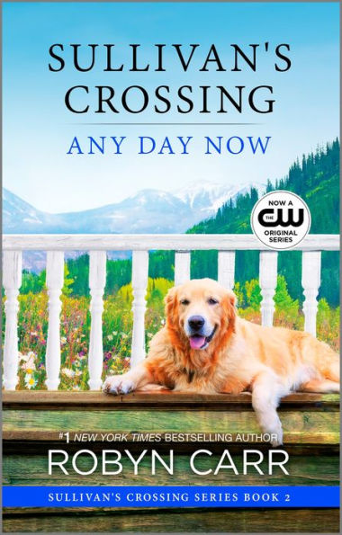 Any Day Now (Sullivan's Crossing Series #2)