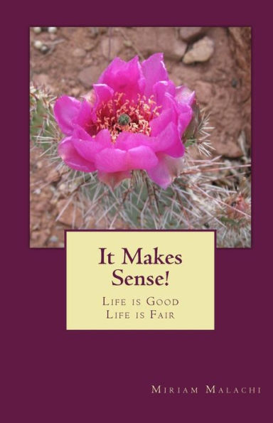It Makes Sense!: Life is Good - Life is Fair