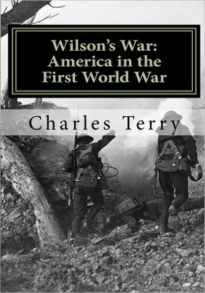 Wilson's War: America in the First World War