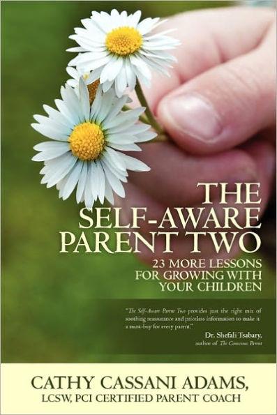 The Self-Aware Parent Two: 23 More Lessons for Growing with Your Children