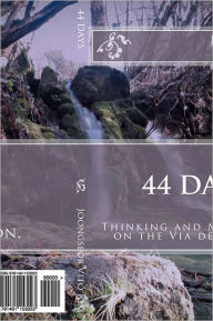 Title: 44 Days: Thinking and Meditation diary on the Via de la Plata, Author: Joongseob Vito Kim