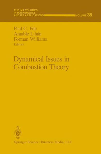 Dynamical Issues in Combustion Theory / Edition 1