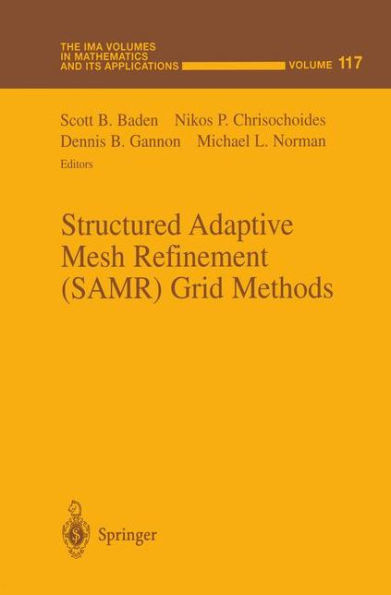 Structured Adaptive Mesh Refinement (SAMR) Grid Methods