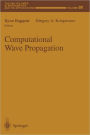 Computational Wave Propagation