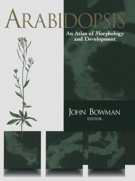 Arabidopsis: An Atlas of Morphology and Development