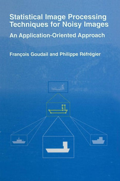 Statistical Image Processing Techniques for Noisy Images: An Application-Oriented Approach