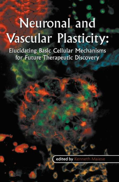 Neuronal and Vascular Plasticity: Elucidating Basic Cellular Mechanisms for Future Therapeutic Discovery / Edition 1