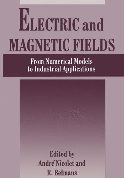 Electric and Magnetic Fields: From Numerical Models to Industrial Applications