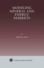Modeling Mineral and Energy Markets