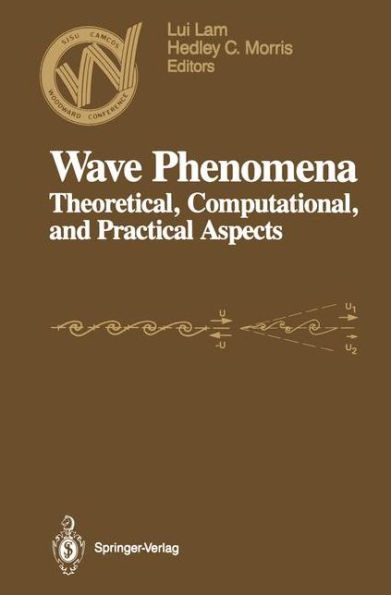 Wave Phenomena: Theoretical, Computational, and Practical Aspects / Edition 1
