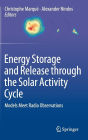 Energy Storage and Release through the Solar Activity Cycle: Models Meet Radio Observations / Edition 1