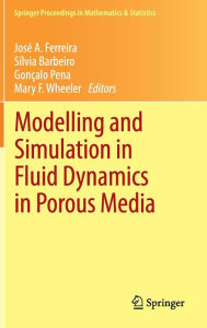 Title: Modelling and Simulation in Fluid Dynamics in Porous Media / Edition 1, Author: Josï A. Ferreira