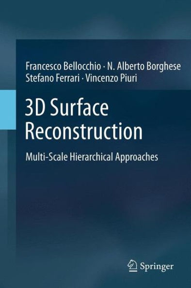 3D Surface Reconstruction: Multi-Scale Hierarchical Approaches