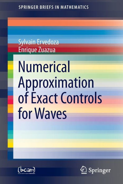 Numerical Approximation of Exact Controls for Waves / Edition 1