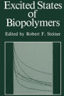 Excited States of Biopolymers