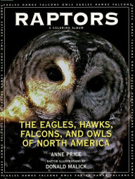 Title: Raptors: The Eagles, Hawks, Falcons, and Owls of North America, Author: Anne Price