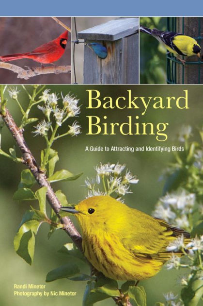 Backyard Birding: A Guide To Attracting And Identifying Birds by Randi ...