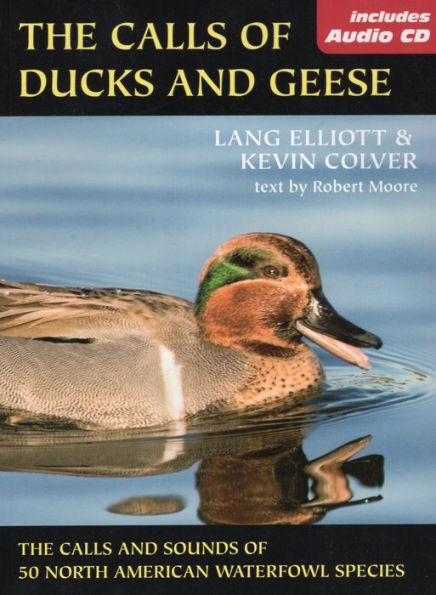 The Calls of Ducks & Geese