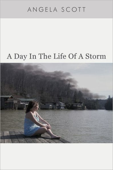 a Day the Life of Storm