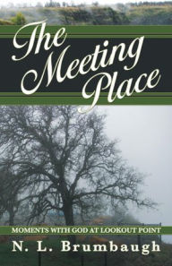 Title: The Meeting Place: Moments with God at Lookout Point, Author: N.L. Brumbaugh