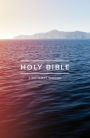 KJV Outreach Bible