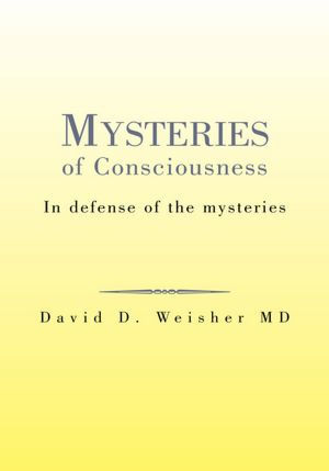 Mysteries of Consciousness: In defense of the mysteries