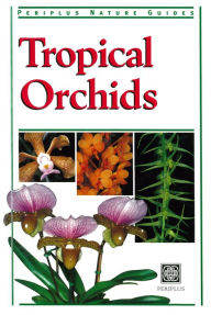 Title: Tropical Orchids of Southeast Asia, Author: David Banks