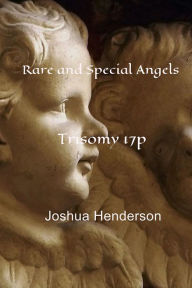 Title: Rare and Special Angels: Trisomy 17p, Author: Joshua Henderson