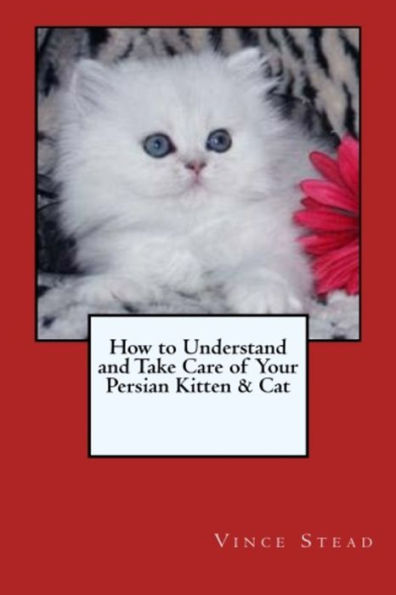 How to Understand and Take Care of Your Persian Kitten & Cat