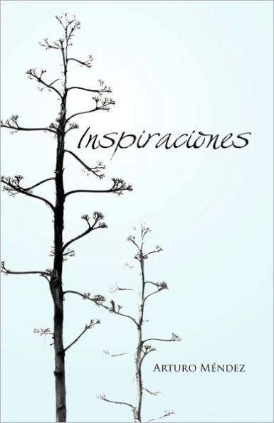 Inspiraciones