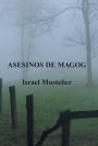 Asesinos de Magog