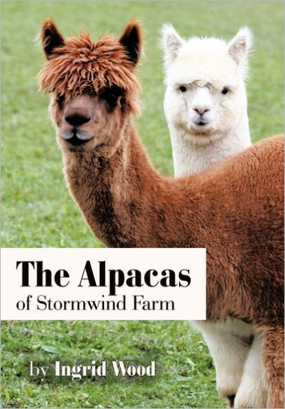 The Alpacas of Stormwind Farm