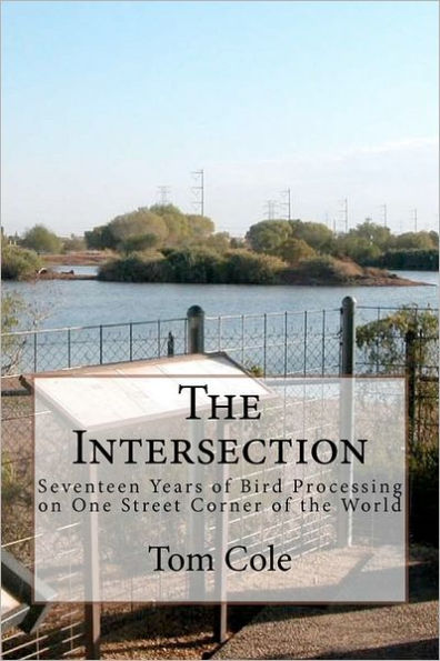 The Intersection: Seventeen Years of Bird Processing on One Street Corner of the World