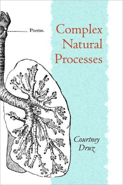 Complex Natural Processes: poems