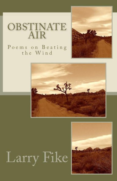 Obstinate Air: Poems on Beating the Wind