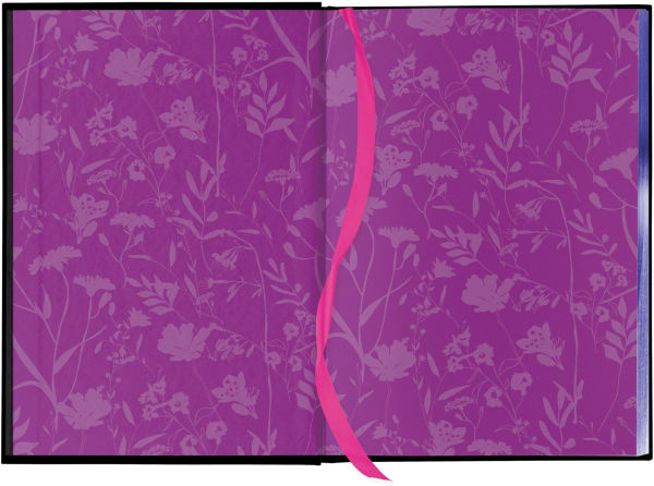 Fairy Tale Retellings, Volume I