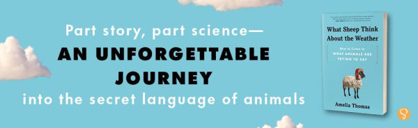 What Sheep Think About the Weather: How to Listen to What Animals Are Trying to Say