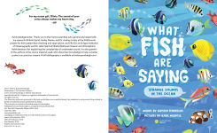 Alternative view 2 of What Fish Are Saying: Strange Sounds in the Ocean