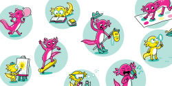 Alternative view 7 of Axolotl and Axolittle