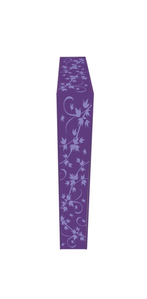 Throne the Dark (Deluxe Edition): A Novel