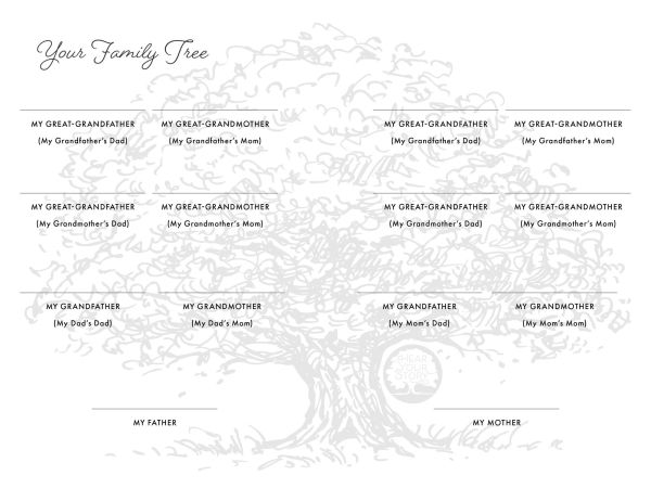 Tell Your Life Story: The Write-Your-Life Guided Journal