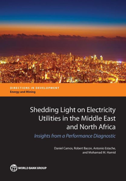 Shedding Light on Electricity Utilities the Middle East and North Africa: Insights from a Performance Diagnostic