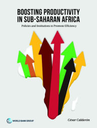 Title: Boosting Productivity in Sub-Saharan Africa: Policies and Institutions to Promote Efficiency, Author: Cesar Calderon