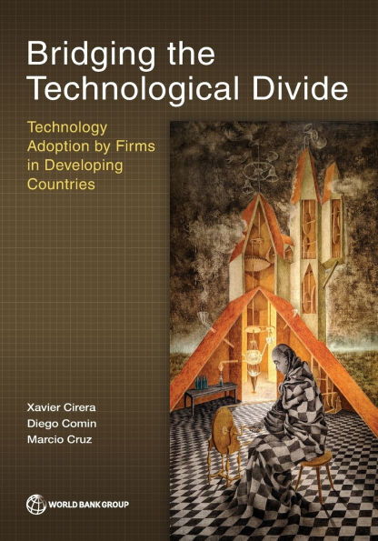 Bridging the Technological Divide: Technology Adoption by Firms Developing Countries