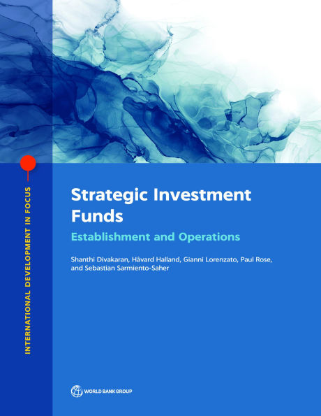 Strategic Investment Funds: Establishment and Operations