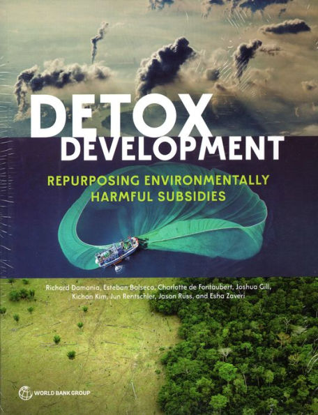Detox Development: Repurposing Environmentally Harmful Subsidies