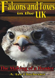 Title: Falcons and Foxes in the U.K.: The Making of a Hunter, Author: A. Lee Chichester