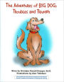 The Adventures of Big Dog: Troubles and Triumph
