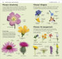 Alternative view 2 of What's that Flower?: A Beginner's Guide to Wildflowers