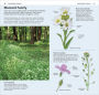 Alternative view 4 of What's that Flower?: A Beginner's Guide to Wildflowers